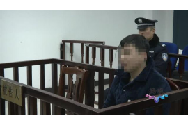 英德企业清欠服务